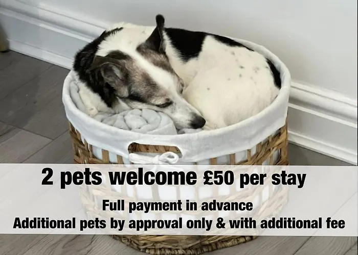 Little Coto Fully Equipped South West By Stae-homes 布里斯托